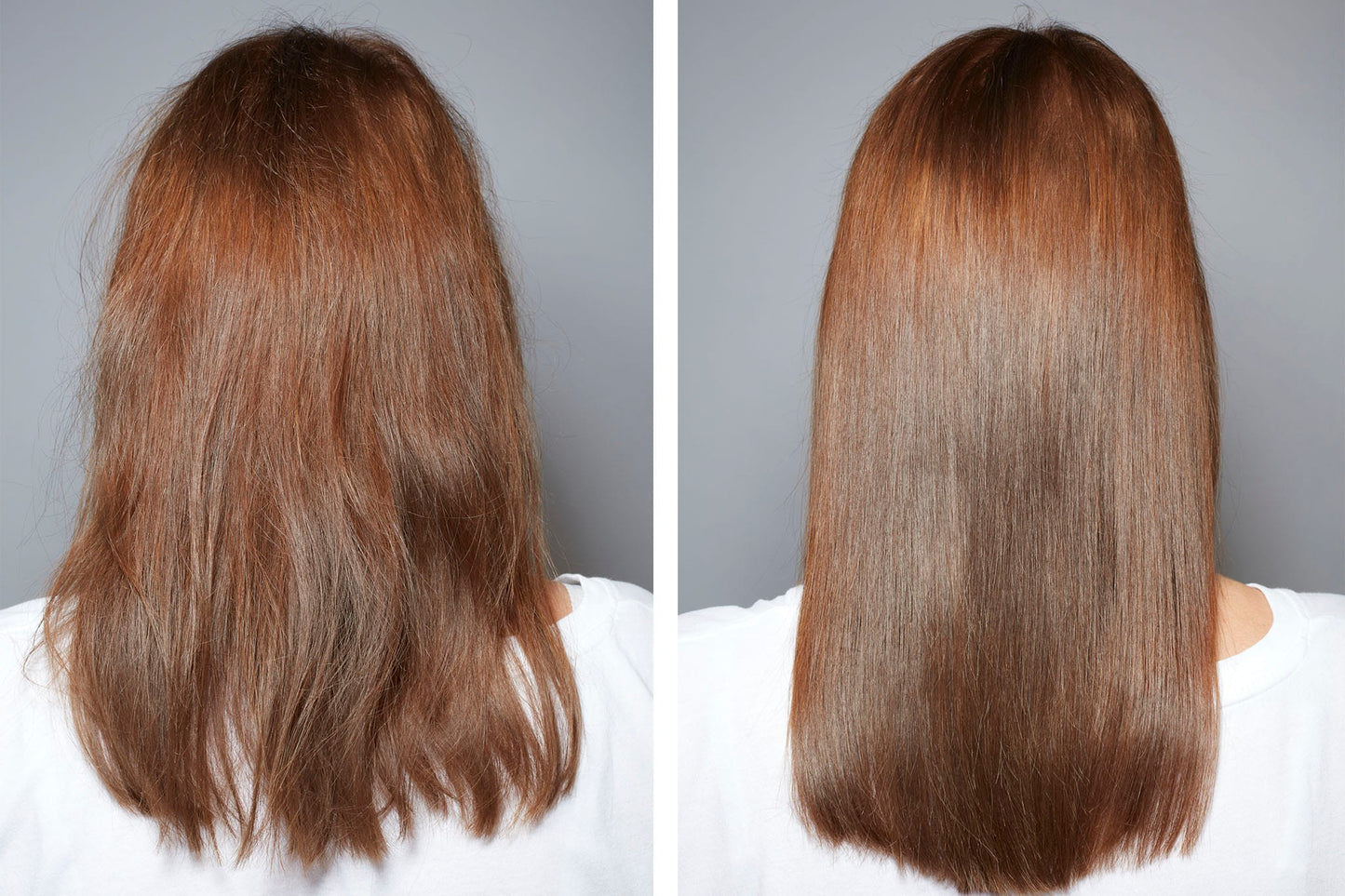 Dúo Beauty Family Romice & Dattero