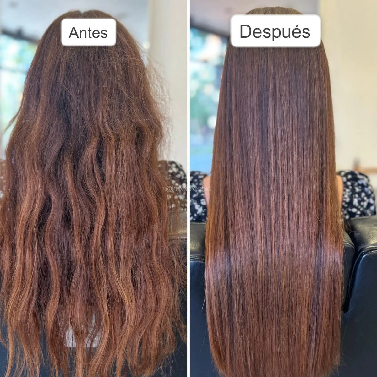 Duo  Silk oil Full size AlterEgo